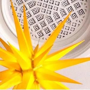 Meet your Posher, Mia